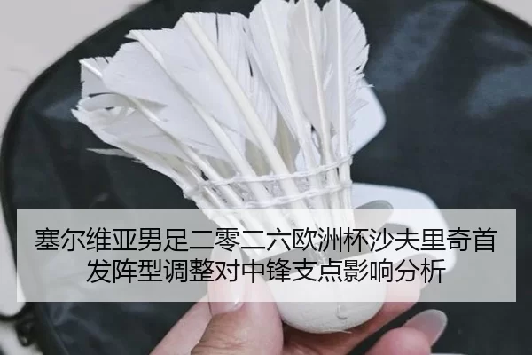 塞尔维亚男足二零二六欧洲杯沙夫里奇首发阵型调整对中锋支点影响分析