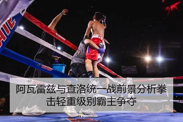 阿瓦雷兹与查洛统一战前景分析拳击轻重级别霸主争夺